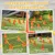 PawHut Set Agilidad Perro 80x22.5X30 cm Naranja