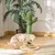 PawHut Poste Rascador para Gato 32x32x60 cm Verde PawHut Poste Rascador para Gato 32x32x60 cm Verde