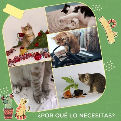 PawHut Poste Rascador para Gato 32x32x60 cm Verde PawHut Poste Rascador para Gato 32x32x60 cm Verde