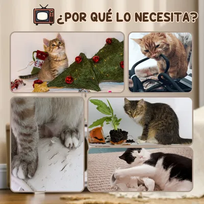 PawHut Rascador para Gato 43x23x32.5 cm Arena
