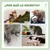 PawHut Árbol para Gato 48x40x126 cm Gris Claro PawHut Árbol para Gato 48x40x126 cm Gris Claro