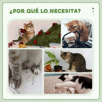 PawHut Árbol para Gato 48x40x126 cm Gris Claro PawHut Árbol para Gato 48x40x126 cm Gris Claro
