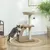 PawHut Árbol para Gato 48x40x88 cm Café PawHut Árbol para Gato 48x40x88 cm Café