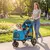 PawHut Carrito para Perro