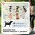 PawHut Cochecito para Mascota 109.5x57.5x106.5 cm Rojo PawHut Cochecito para Mascota 109.5x57.5x106.5 cm Rojo