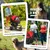 PawHut Cochecito para Mascota 109.5x57.5x106.5 cm Rojo PawHut Cochecito para Mascota 109.5x57.5x106.5 cm Rojo