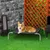 PawHut Cama Elevada para Mascota PawHut Cama Elevada para Mascota