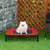 PawHut Cama Elevada para Perro 76x61x18 cm Rojo PawHut Cama Elevada para Perro 76x61x18 cm Rojo