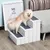 PawHut Escaleras para Mascota PawHut Escaleras para Mascota