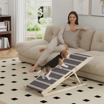PawHut Rampa para Perro