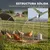 PawHut Gallinero de Exterior 280x570x197 cm Plata PawHut Gallinero de Exterior 280x570x197 cm Plata