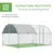 PawHut Gallinero de Exterior 280x380x197 cm Plata PawHut Gallinero de Exterior 280x380x197 cm Plata