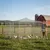 PawHut Gallinero para Exterior 400x300x197 cm Plata PawHut Gallinero para Exterior 400x300x197 cm Plata