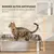 PawHut Arenero para Gato PawHut Arenero para Gato