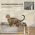 PawHut Arenero para Gato PawHut Arenero para Gato