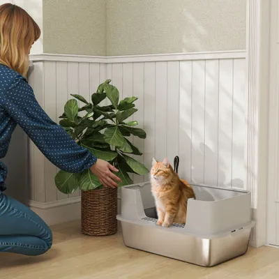 PawHut Arenero para Gato 60.2x40.2x29.5 cm Gris
