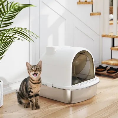 PawHut Arenero para Gato