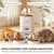 PawHut Comedero Gato Automático 33x30.5x30 cm Blanco PawHut Comedero Gato Automático 33x30.5x30 cm Blanco