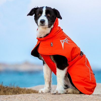 TrueLove Wärmejacke orange