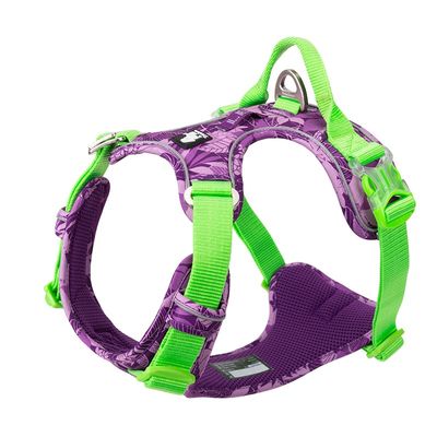 TrueLove Geschirr Country Camouflage violett