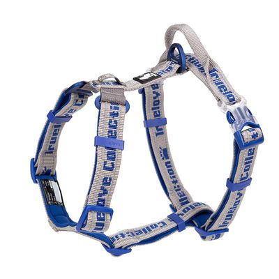 TrueLove Escape Geschirr mit Neopren unterlegt grau/blau
