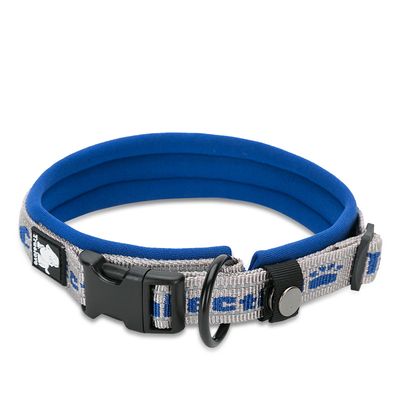 TrueLove Nylon Halsband mit Neopren unterlegt grau/blau