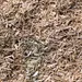 Bunny Nature Bedding Hanf 14 kg