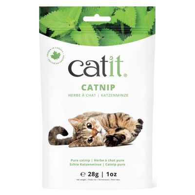 Catit Katzenminze