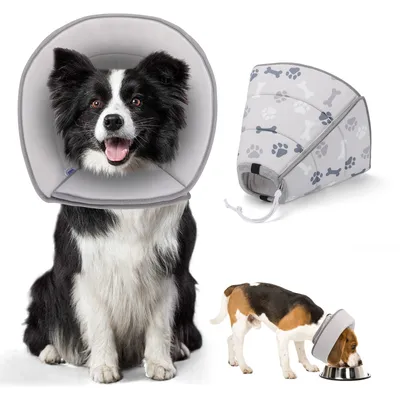 Nobleza Perro Collar Isabelino Perro Plegable