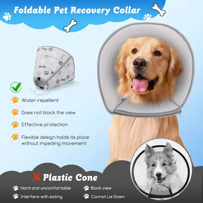 Nobleza Perro Collar Isabelino Perro Plegable