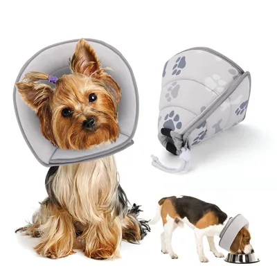 Nobleza Perro Collar Isabelino Perro Plegable