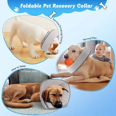 Nobleza Perro Collar Isabelino Perro Plegable