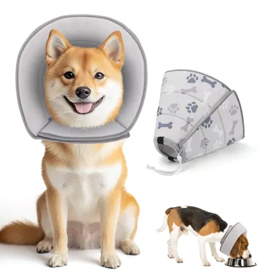 Nobleza Perro Collar Isabelino Perro Plegable