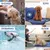 Nobleza Toalla para Perros Toallas Suaves y Duraderas