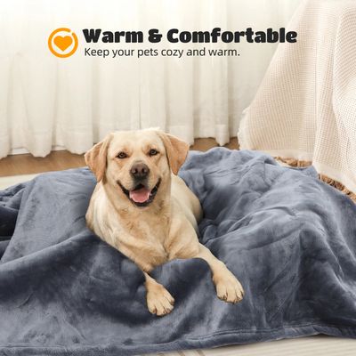 Nobleza Manta Impermeable Perro