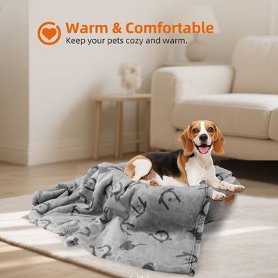 Nobleza Manta Impermeable Perro