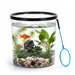 Nobleza Pez Acuario