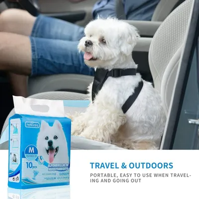 Nobleza Perro Empapador Empapadores Perros Nobleza Perro Empapador Empapadores Perros