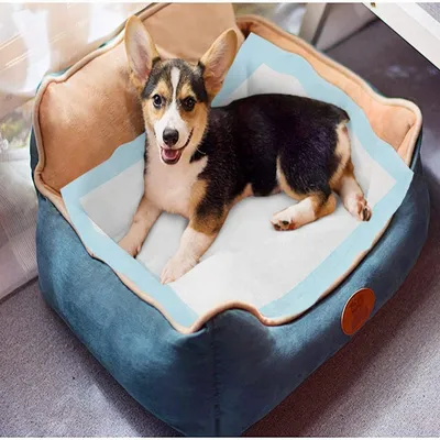 Nobleza Perro Empapador Empapadores Perros Nobleza Perro Empapador Empapadores Perros