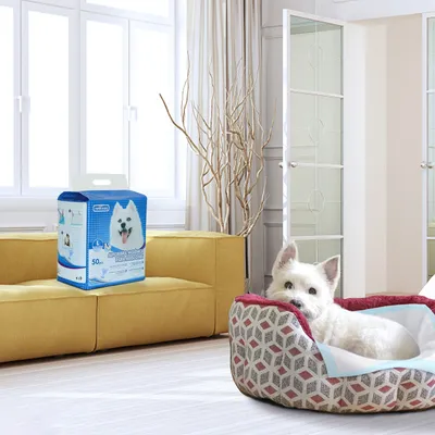 Nobleza Perro Empapador Empapadores Perros Nobleza Perro Empapador Empapadores Perros