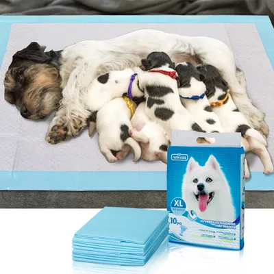 Nobleza Perro Empapador Empapadores Perros Nobleza Perro Empapador Empapadores Perros