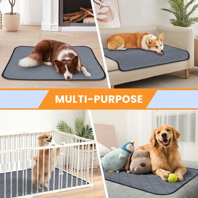 Nobleza Perro Almohadillas de Entrenamiento Reutilizables para Perros