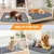 Nobleza Perro Almohadillas de Entrenamiento Reutilizables para Perros