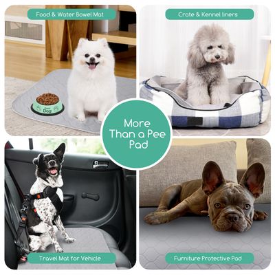 Nobleza Perro Almohadillas de Entrenamiento Reutilizables para Perros