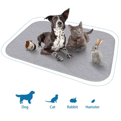 Nobleza Perro Almohadillas de Entrenamiento Reutilizables para Perros
