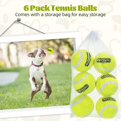 Nobleza Perro Pelota