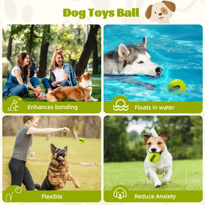 Nobleza Perro Pelota
