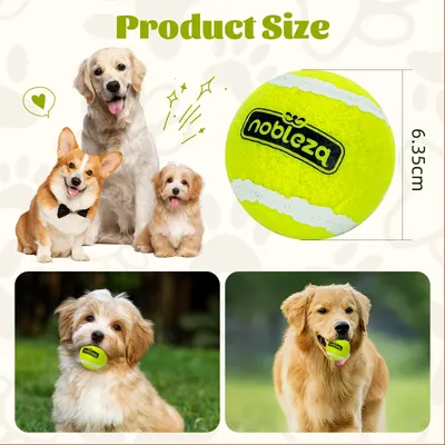 Nobleza Perro Pelota