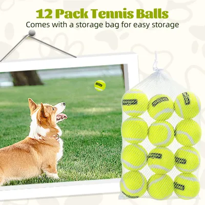 Nobleza Perro Pelota Nobleza Perro Pelota