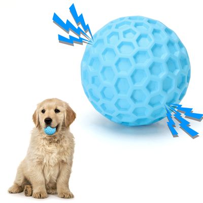 Nobleza Perro Pelota con Sonido